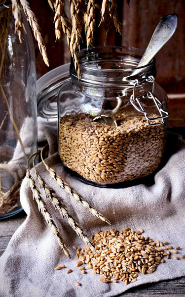 Birkkalan luomu speltti jyvää lasipurkissa.